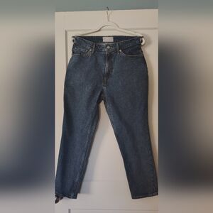 Everlane 90s Cheeky Curvy Size 30 Crop Organic Cotton